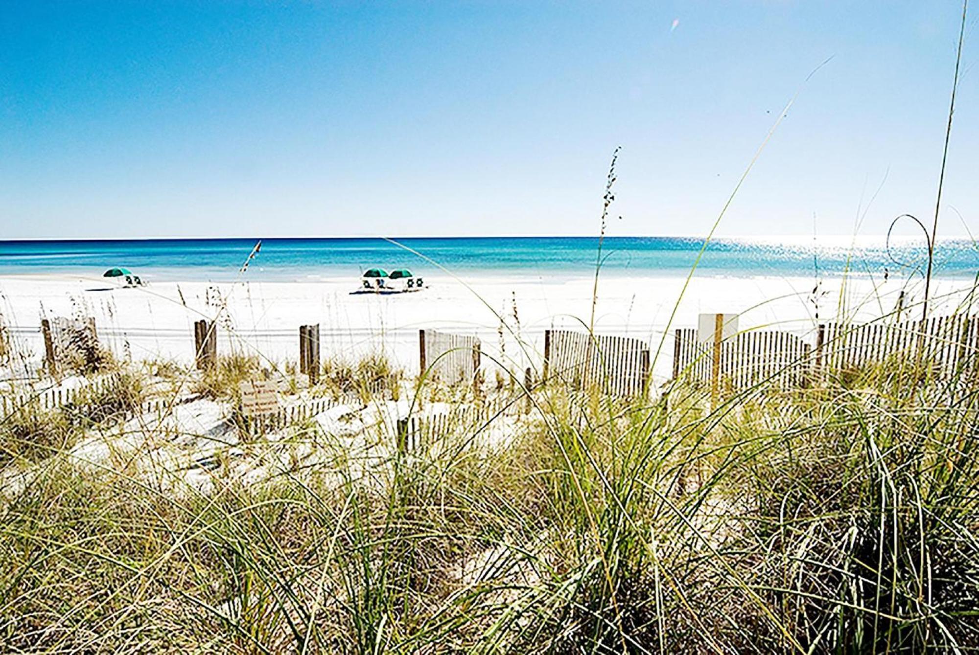 Alerio C303 Destin