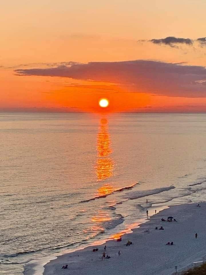 Pink Sunsets At The Palms Of Across From Beach, Heated Pool Shuttle & Dining Holiday home *