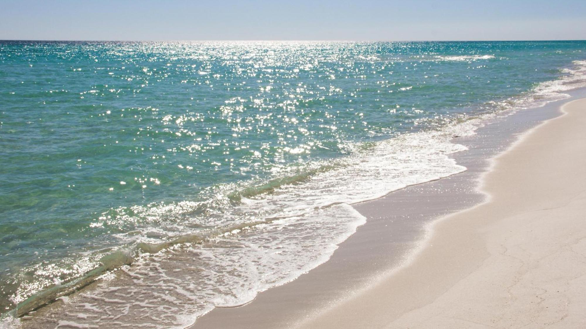 Knot Too Shabby * Destin