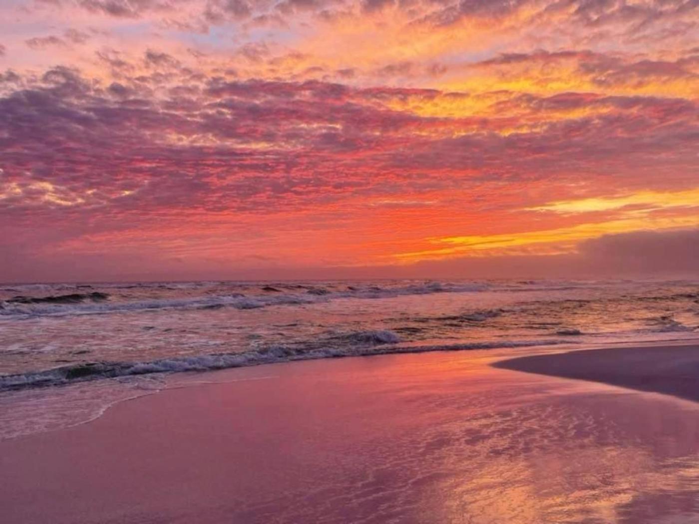 Penthouse Amazing Gulf Views Walk Or Shuttle Sleeps 6