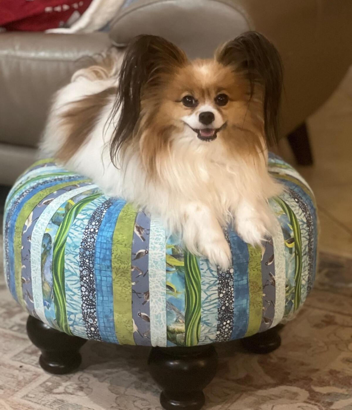 Pet Friendly Gulf Front Oasis With Service