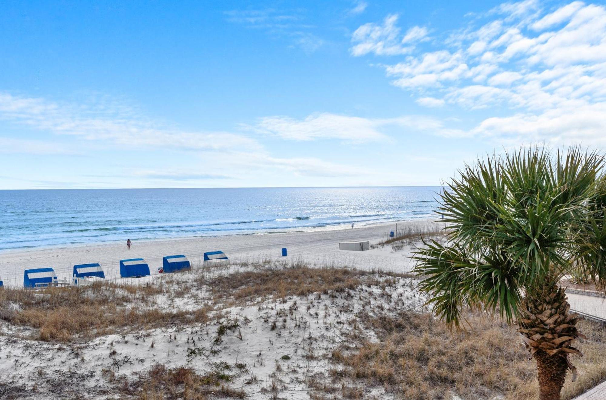 Silver Dunes 1302c By Newman-dailey