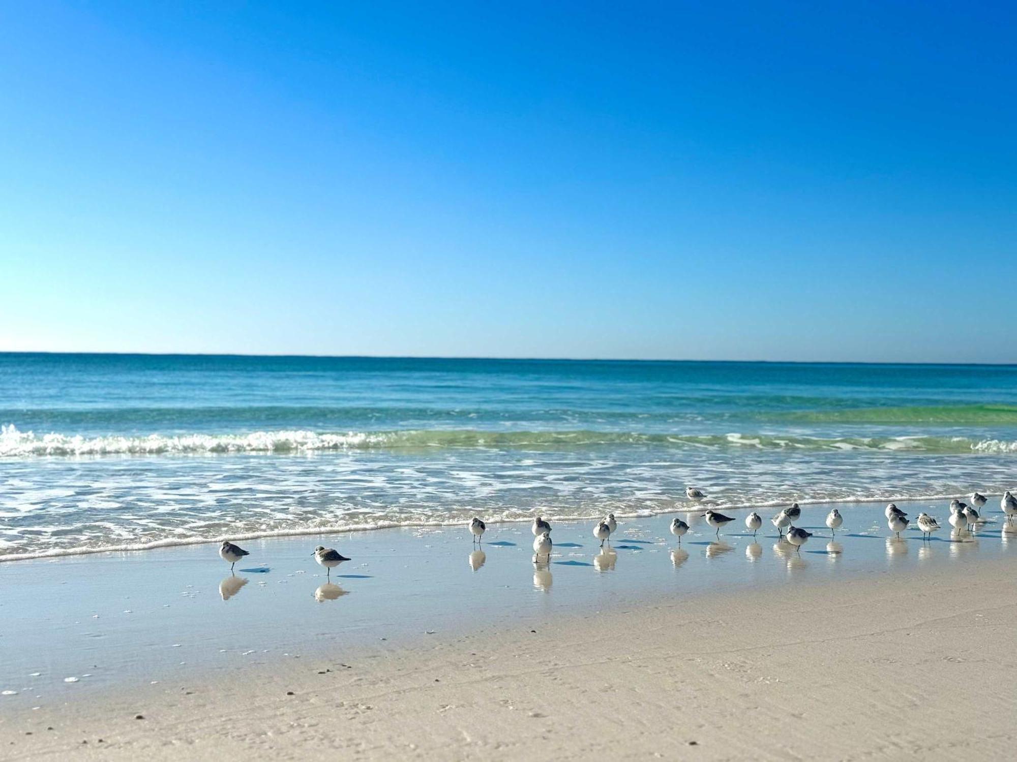House Pool Heat&golf Cart Deals Gameroom Holiday home Destin