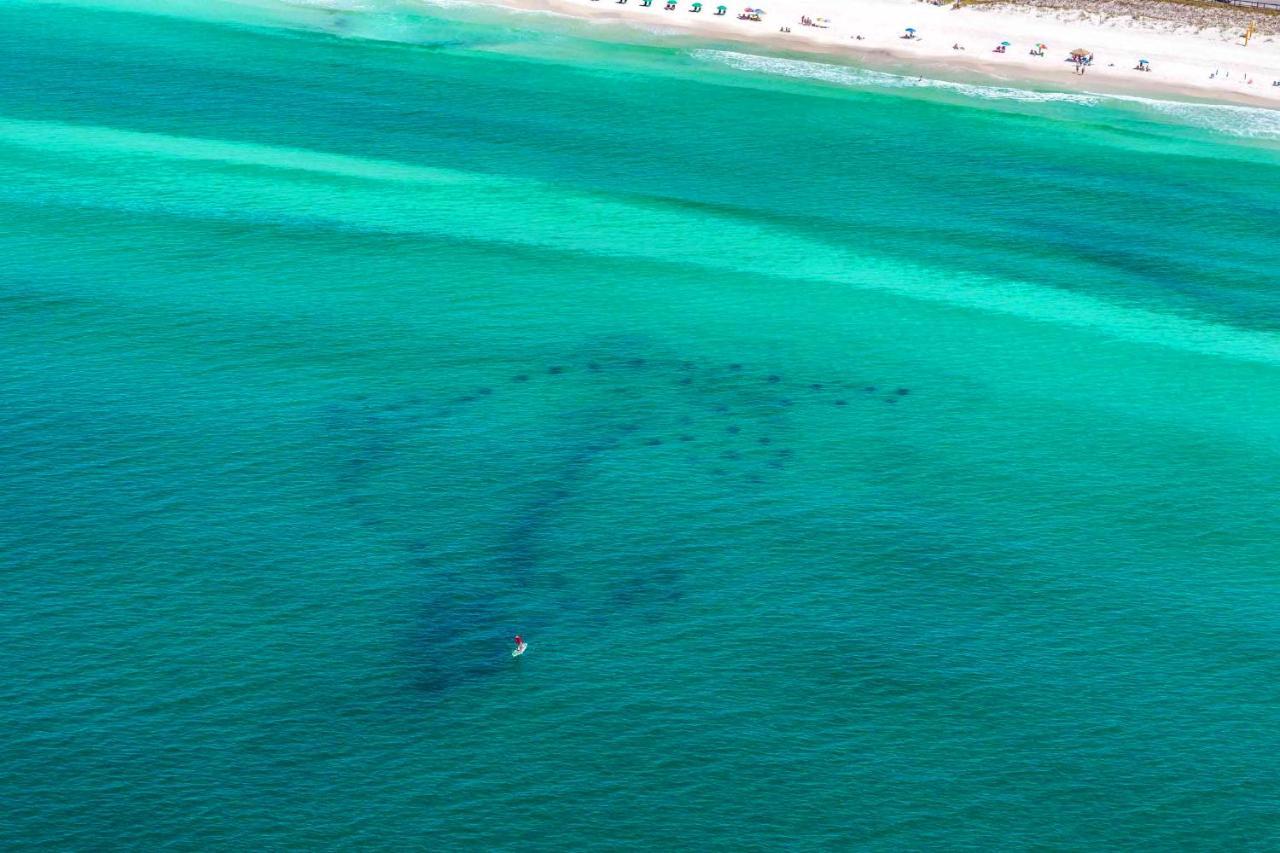 Vitamin Sea Apartment Destin