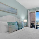 Mediterranea 410D By Newman-Dailey