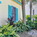 Tropical Dreams