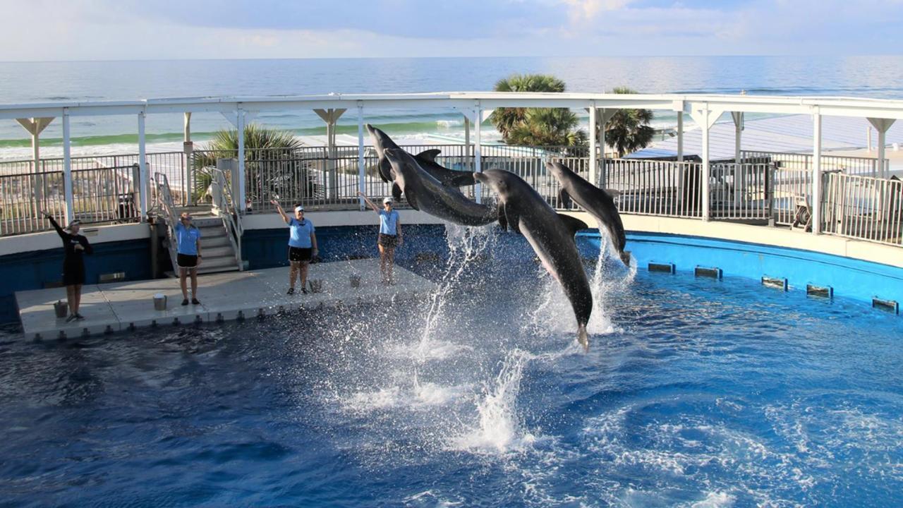 St Maarten At Silver Shells 1206 Holiday home