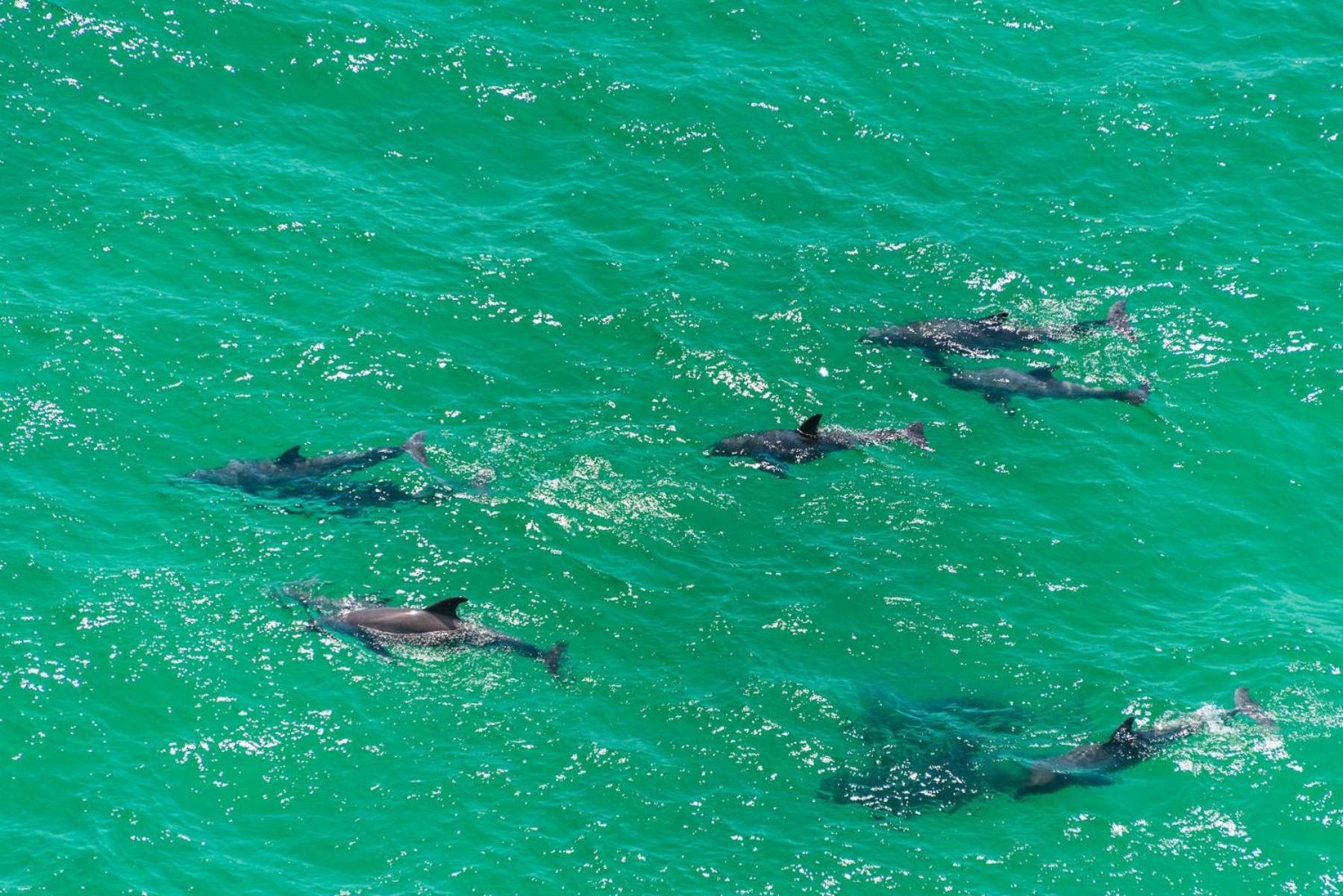 Emerald Waters 0101