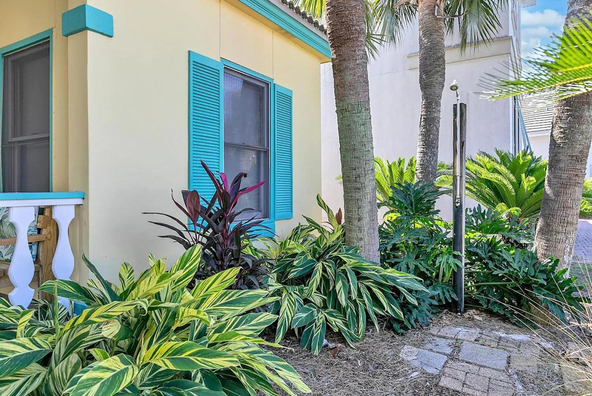 Tropical Dreams Holiday home